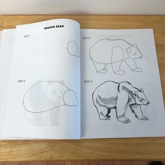 I WANT TO DRAW ENDANGERED ANIMALS BOOK. - Picture 4 of 6